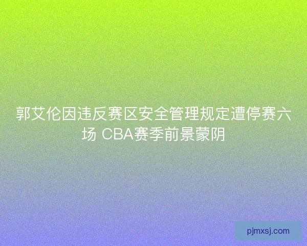 郭艾伦因违反赛区安全管理规定遭停赛六场 CBA赛季前景蒙阴