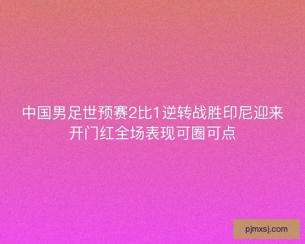 中国男足世预赛2比1逆转战胜印尼迎来开门红全场表现可圈可点