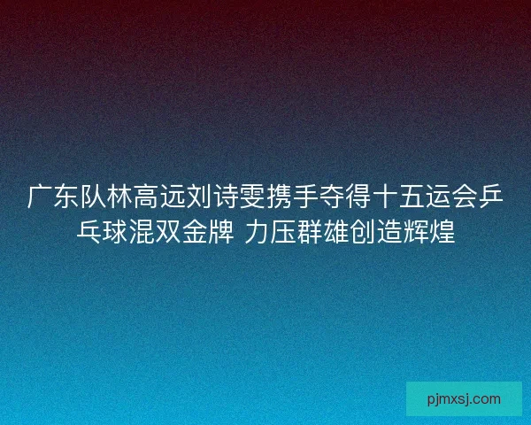 广东队林高远刘诗雯携手夺得十五运会乒乓球混双金牌 力压群雄创造辉煌